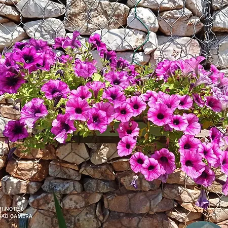 Chez Sylvie Et Alain