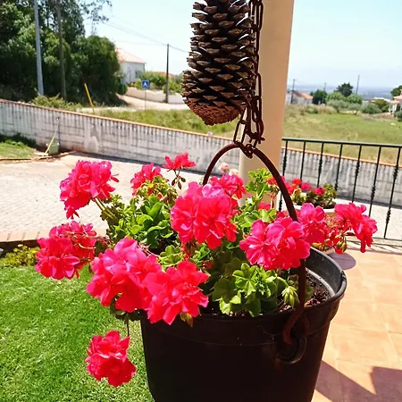 Chez Sylvie Et Alain Alojamento de Acomodação e Pequeno-almoço Lamas