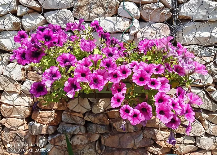 Chez Sylvie Et Alain